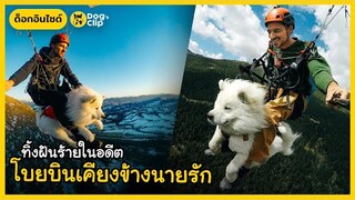 "อุคก้า" น้องหมาซามอยด์ขนฟูจากศูนย์พักพิงสัตว์ทิ้งฝันร้ายในอดีตโบยบินเคียงข้างนายรัก | Dog's Clip