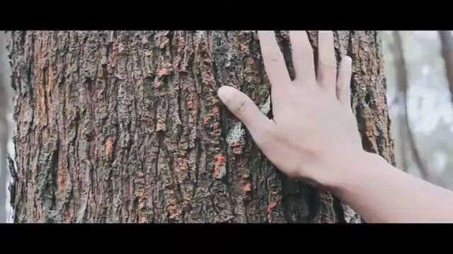 video clip MERINDUMU Ivan zilid