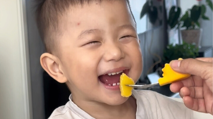 Canned yellow peaches are also delicious!