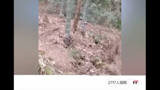 سمعت أنه لا يوجد فتى واحد يستطيع تمريرها بعيدًا.