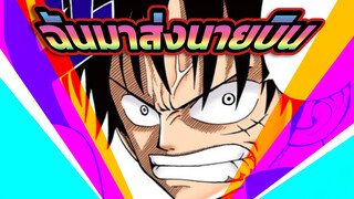 ฉันมาที่นี่เพื่อส่งนายบิน! [วันพีซ MAD]