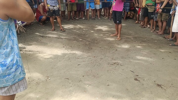 dec.31 2nd fight win