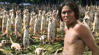 少年派的奇幻漂流，一部看完让人不寒而栗的电影！