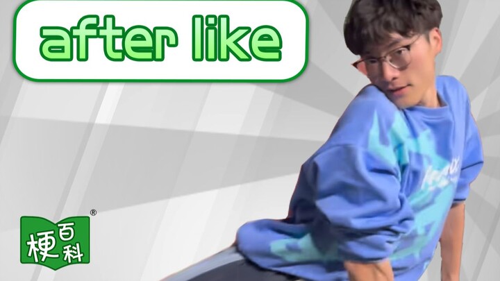 [Meme Encyclopedia] What is the "After Like" meme?