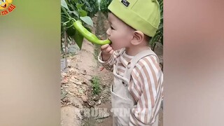 Tổng Hợp Những Tình Huống _HÀI HƯỚC NHẤT _ Đảm Bảo KHÔNG CƯỜI KHÔNG LẤY TIỀN P64