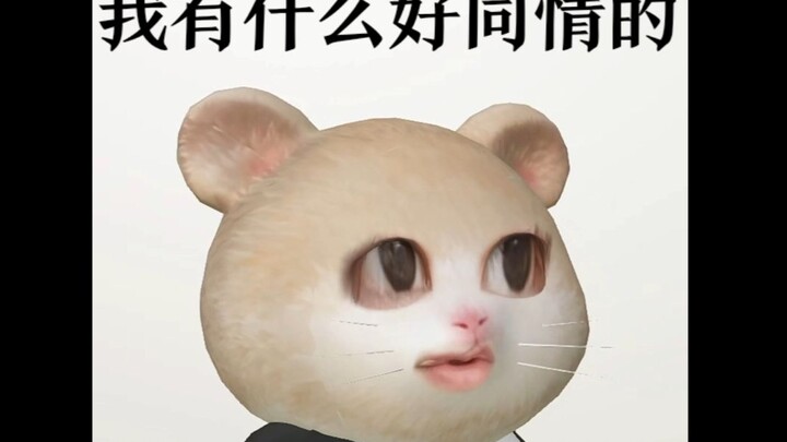 A Brief Discussion on Zhao Lusi Falling Ill and Being Assaulted