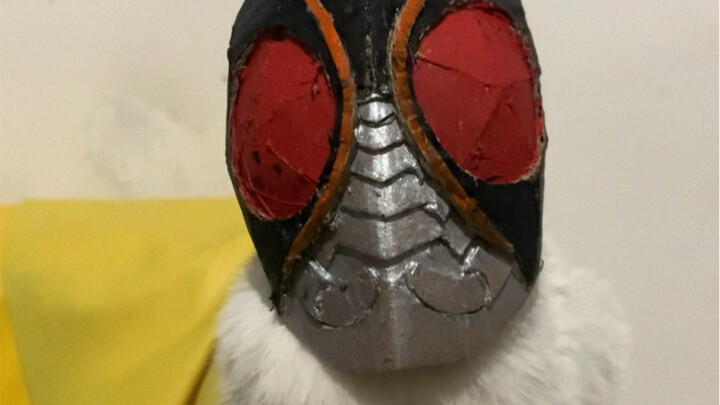 Knight Cat