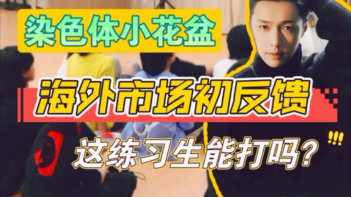 Chromosomes’ overseas anticipation is anything but negligible—PD Zhang, aka Boss Zhang, is live, dot