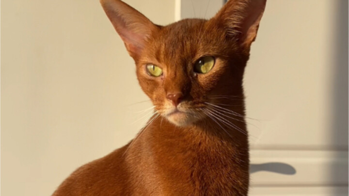 I know—I've been blessed by the goddess of fate again...