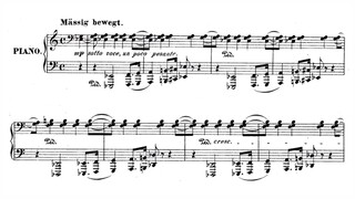 Franz Liszt - "Der Traurige Mönch" for narrator and piano S. 348 (audio + sheet music)