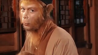 孙悟空三观有多正？男主人设天花板，谁不喜欢高情商的猴子！