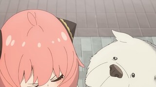 SPY x FAMILY Season 3 _ Official Trailer _ 01b