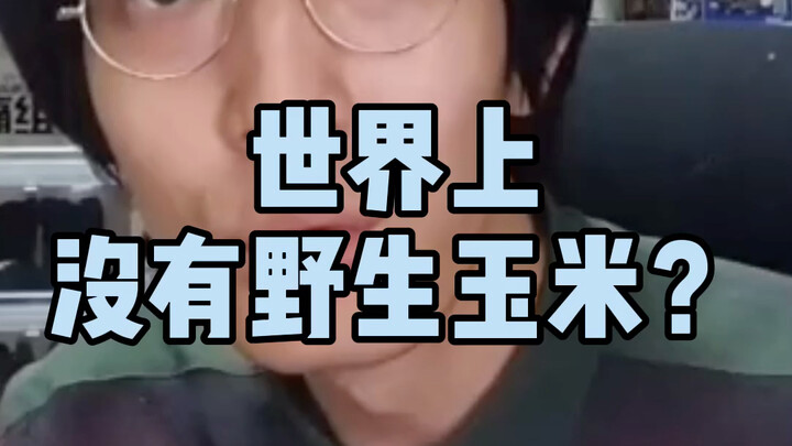 世界上没有野生玉米？给溜溜哥捧个哏