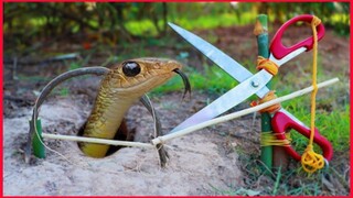 Easy SnakeTrap Creative Method DIY Snake Trap Using Cutter That Work 💯