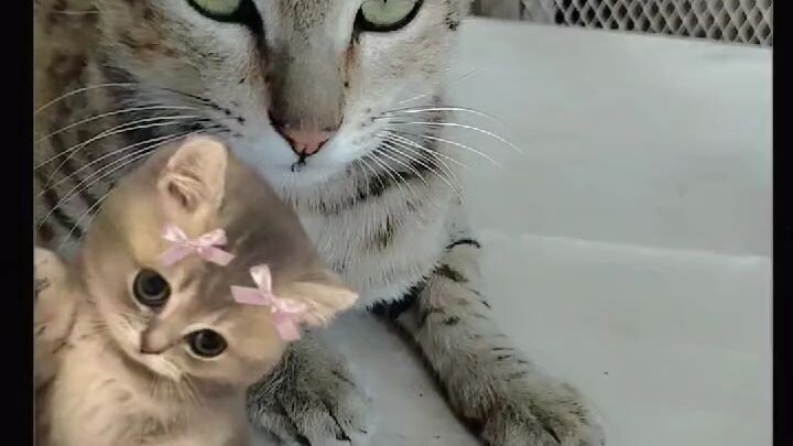 hello cutiesssss 😍