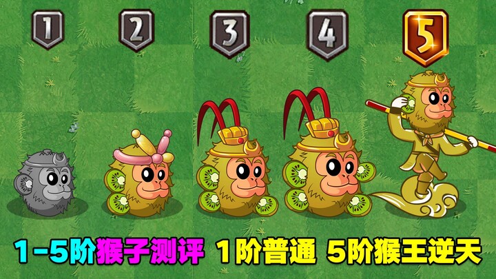 Kiwi Fruit Review: Level 1 is just ordinary, Level 3 marks a qualitative leap, and Level 5? Monkeys 