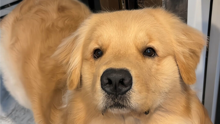 Gak apa-apa, biarin aja aku mati kelaparan. Toh udah lima menit gak makan.