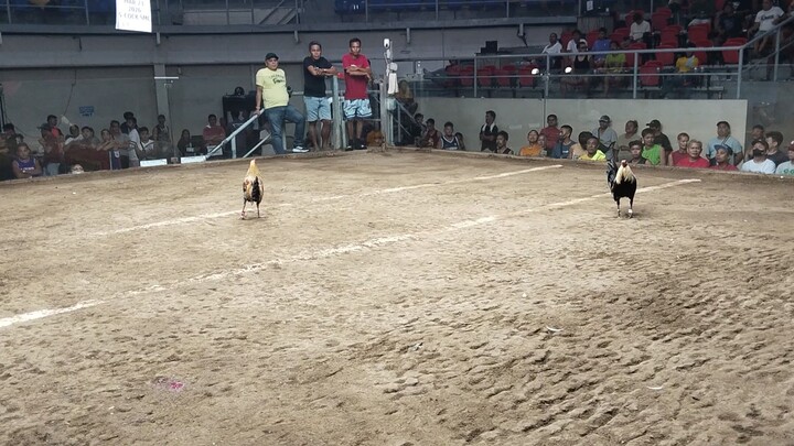 COLISEO MANILA DRAW 4TH FIGHT