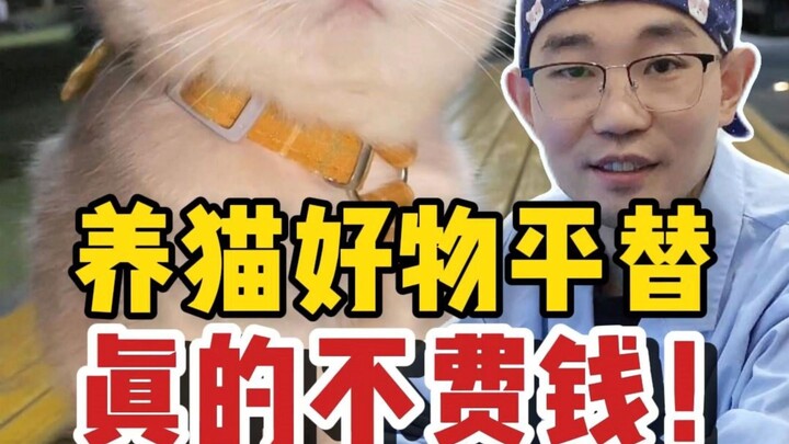 养猫真的不费钱！低成本平替好物快码住！