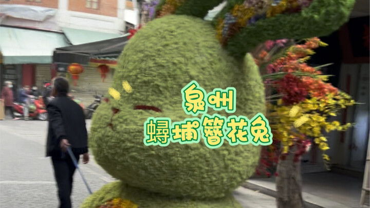 The bunnies in Quanzhou are just unbeatable!!!