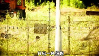 这个女人不小心碰到一根钢丝绳下一秒小可爱出现：《寂静之地》上