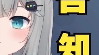 Gancheng Cat: Let me tell you a sad story
