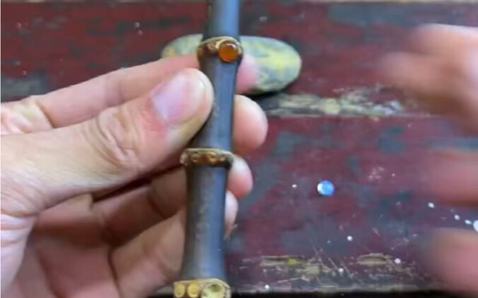 This is both Old Master Dog’s legacy and his prized possession—back in the day, it was Wu Xie’s favo