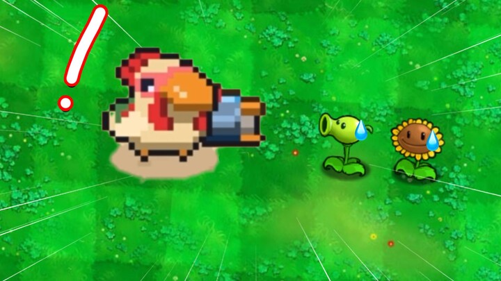 Plants vs. Chicken Brother? Hurry up and call the zombies!