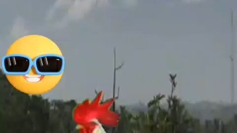 ngopi dulu biar gak pusing