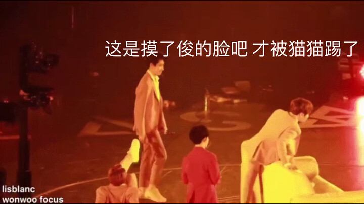 [You Hui] Did I just get kicked by Jun after petting the kitty’s face?!