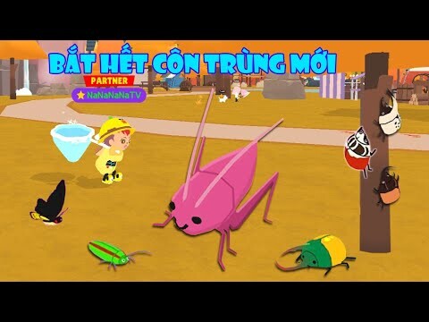 (Play Together) Vị Trí xuất hiện các loài Côn Trùng Hiếm và Bắt Full 38 loài côn trùng