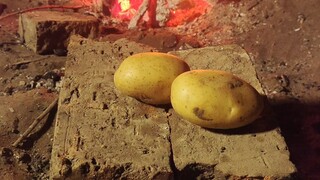 مشروع تدمير الزومبي: طبق شهي - البطاطا المشوية