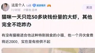 Coba lihat di kolom komentar, bagaimana cara mengatasi kucing yang pemilih makanan