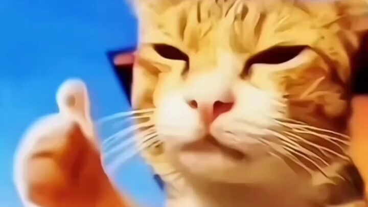 每天一遍 烦恼再见