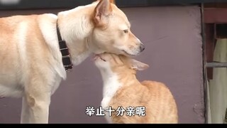 哈哈😃