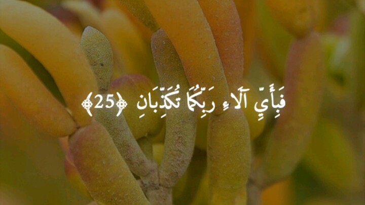 Surah Al Rahman beautiful tilwat quran best voice 🤲🤲🤲