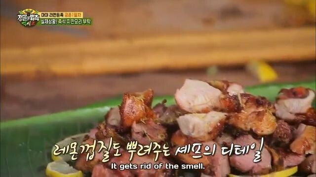 E324 Law of the Jungle_Mexico