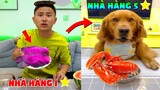 Thú Cưng Vlog | Đa Đa Đại Náo Bố #5 | Chó gâu đần thông minh vui nhộn | Smart dog golden pets