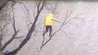 รวมคลิปตลกๆ : จะทำเท่ห์…เเต่ดันตกต้นไม้!!