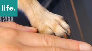 Mẹo hay cho bạn #46 #Mẹo_vặt_cuộc_sống
