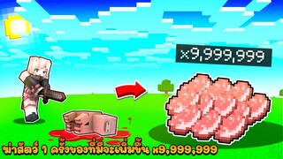 ถ้าเกิด ฆ่าสัตว์1ครั้ง ของที่มีจะเพิ่มขึ้น x999999%(Minecraft)