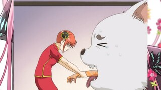 Adegan terkenal di Gintama dimana kamu tertawa terbahak-bahak (102) Sadaharu makan tanpa pandang bul