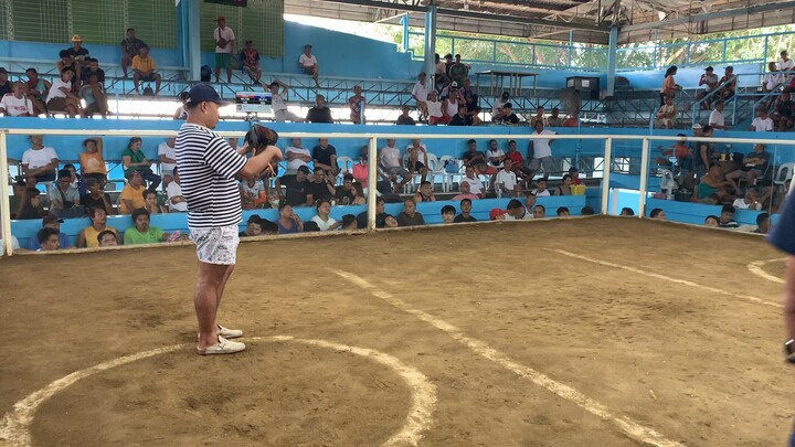 MCJ-AA GF Win win win