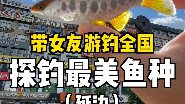 Fish really are beautiful, but catching them? Not easy at all...