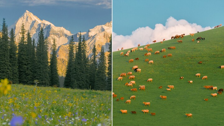 Butuh 3 tahun, biaya sendiri 60 ribu, hasil syuting di Xinjiang dengan bolak-balik lebih dari 10 kal