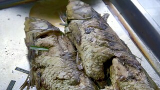 Ikan rebus buatan koki itu jelek sekali! Paman: Dengan level seperti ini, aku tidak butuh kamu untuk