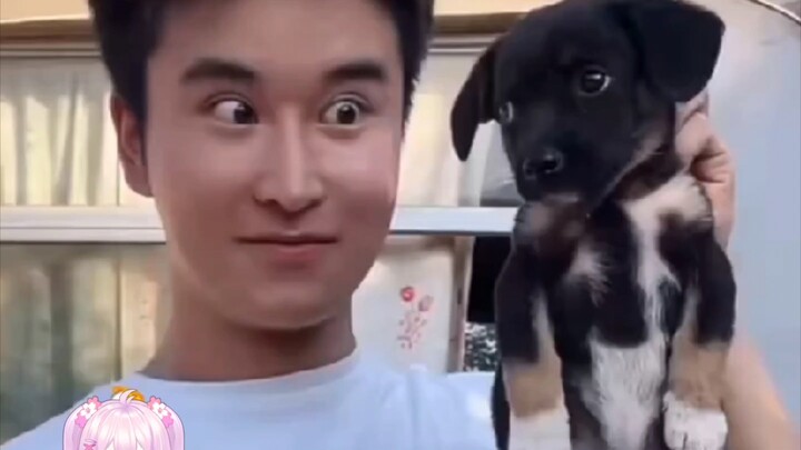 ฉินซินอวี่เลี้ยงไข่แดงได้ดีจริงๆ