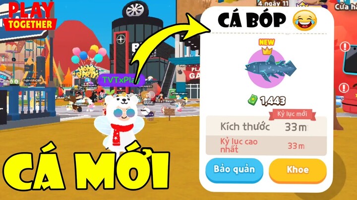 Thông Báo Bảo Trì Cập Nhật Cá Mới Play Together, Xuất Hiện Cá BÓP Siêu Sướng | Play Together