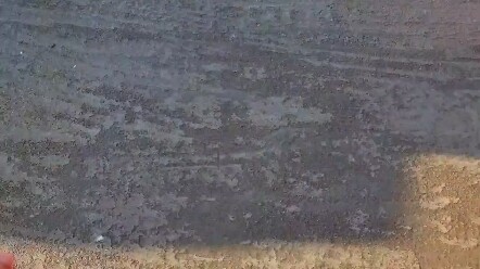 Pressure-Relieving Moment: Stairwell Bottle Roll Explosion!