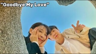 Goodbye My Love [ENG SUB]